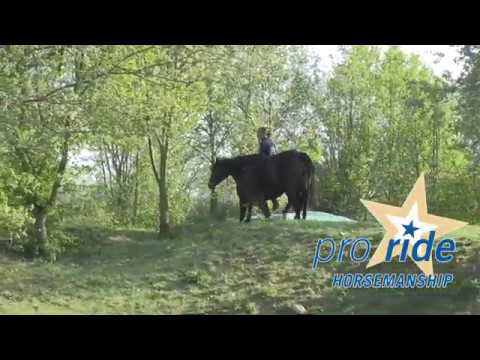 Trailer zum Film PRO RIDE HORSEMANSHIP  Teil 1