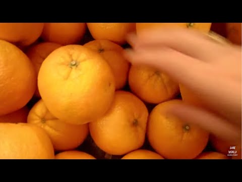 RAMZI MOUSHABECK FT JAYLEE - "ARCHES" (PROD RAMZI)