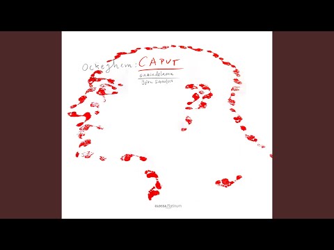 Diligamus nos invicem