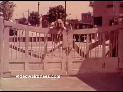 Won Ton Ton movie trailer