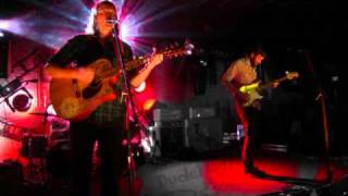 Miniature Tigers   The Wolf