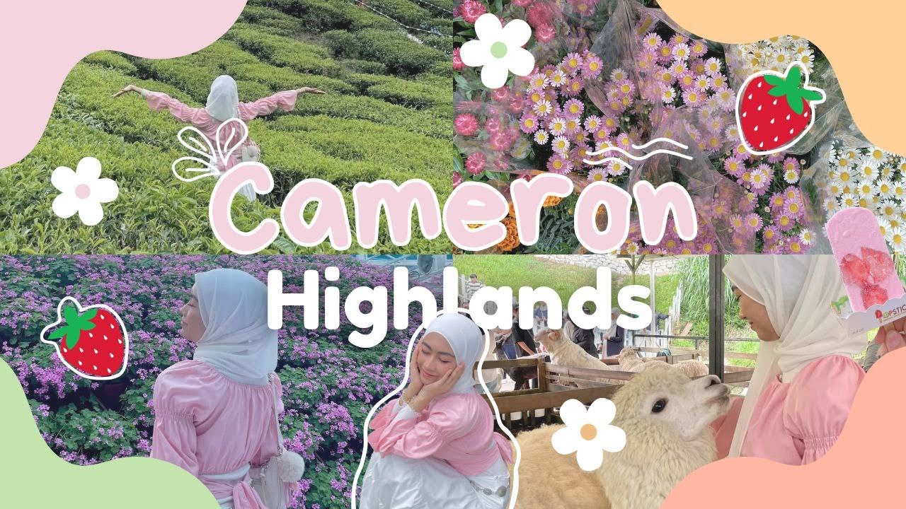 A day in Cameron Highlands | 5 places in one day🍦🍓🍰