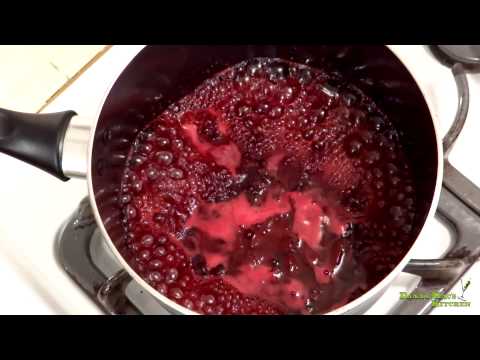 download lagu mp3 mp4 Strawberry Coulis, download lagu Strawberry Coulis gratis, unduh video klip Strawberry Coulis