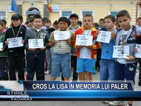 CROS LA LISA ÎN MEMORIA LUI PALER