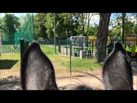 Raków Częstochowa - Odra Opole 27.05.2017