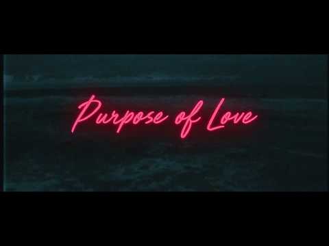 Ludwig Hart   Purpose of Love (official video)