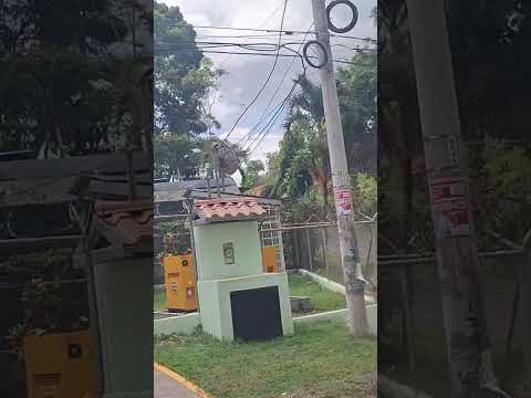 de aventuras por las minas herrera panamá