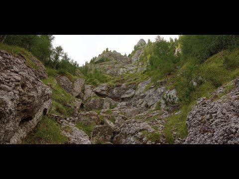Vâlcelul Cantiunari, parcurgere vara