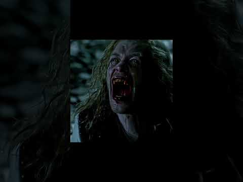 the hybrid #klausmikaelson #klaus #hybrid #theoriginals #klausandhope #thevampirediaries