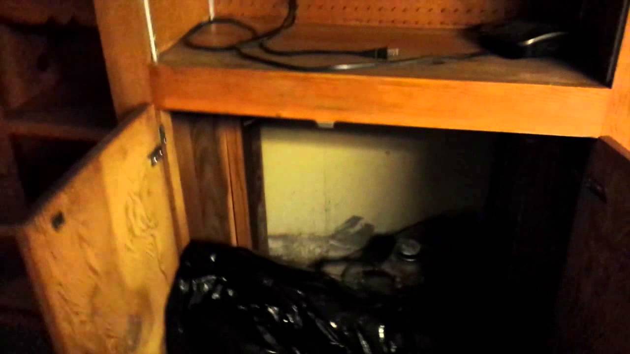 Mold Testing During a Home Inspection