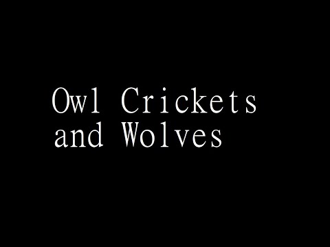 Owl Crickets and Wolves - black screen