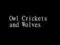 Owl Crickets and Wolves - black screen