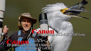 Canon Lens Comparison at Sepulveda for wildlife - RF 200-800mm VS EF 600mm f/4L III W/ 1.4 extender.