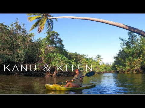 Ep. 58 | Über die Flüsse in die Mangrovenwälder Brasiliens  -Blue Horizon-