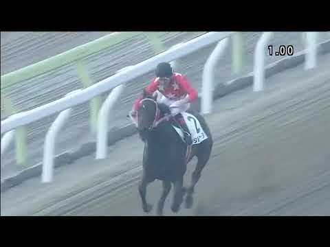 Fumio Matoba 7152th Wins