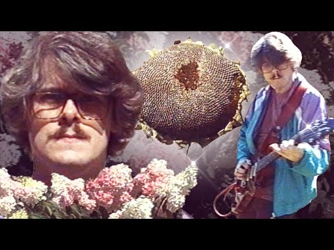 Layla | Retro Poland Cover