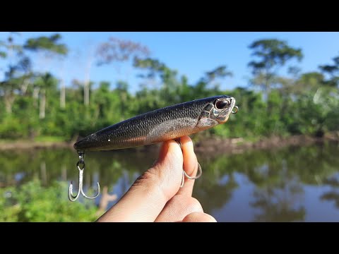 Casting Toman With Duo Realis Pencil 85