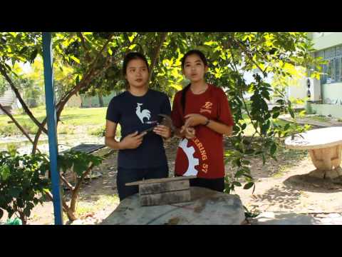 สตรีทองเชื้อโรคทันที เพิ่มความยาวของอวัยวะเพศชาย