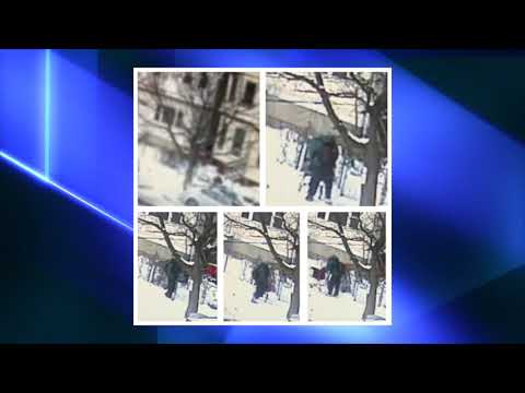 Newark Arson Suspect