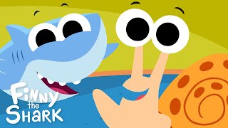 Shelly The Snail | Kids Counting Song | Finny The Shark