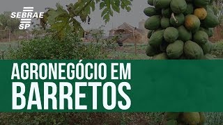 Miniatura do vídeo