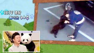Download lagu 납치된 차우차우, 방송 후 돌려줘 ‘감격’ @TV 동물농장 20151101 mp3