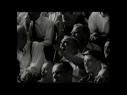 Eine Derbyniederlage im Prater: 2. Runde  Austria Wien - Rapid 2:1 (0:1)  5. 9. 1954