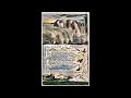 "The Clod and the Pebble", by William Blake, from Songs of Experience