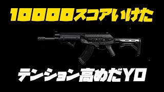 【CoD:MW】Ngtの実況#8 がりる