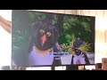 Surf S Up 2007 Let S Surf Scene HD