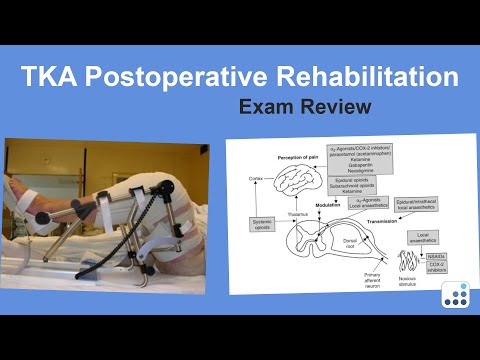 TKA Rehabilitation Exam Review - Ron Delanois, MD