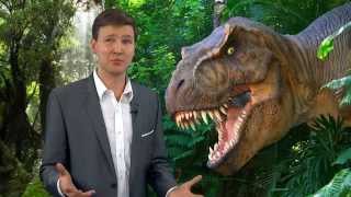 3 Misconceptions about Dinosaurs (and Christians and Dinosaurs) -David Rives