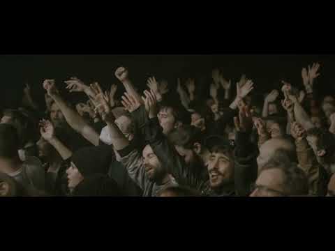 BIRDS IN ROW - Grisaille