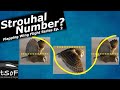 The Strouhal Number | Flapping Wing Flight Ep. 2