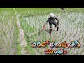 Varilo Kalupu Teese Yantram Rudhra9966
