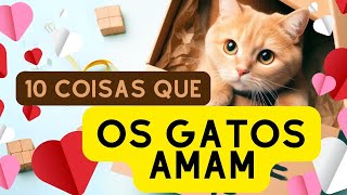 10 coisas que os gatos amam