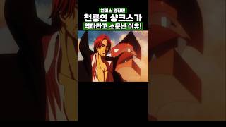 원피스) 천룡인 샹크스가 악마라고 소문난 이유! #원피스 #onepiece