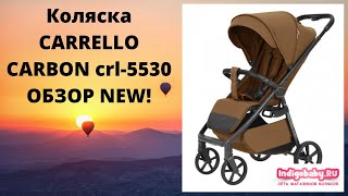 CARRELLO BRAVO Carbon CRL-5530 Zahraniční ukázka kočárku Carrello Bravo CRL-5530