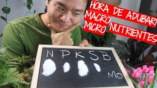 Miniatura do vídeo