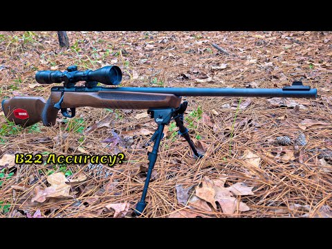 Savage B22 Accuracy Test – 8 Ammo Brands at 50 Yards