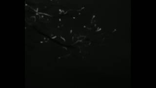 Lab 1 (2026)