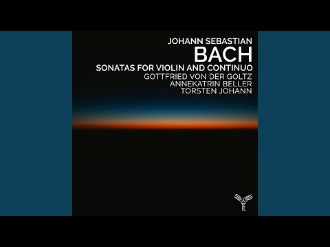 Sonata for Violin and Continuo in A Major (Formerly Attrib. J.S. Bach as BWV Anh. II 153) : II....
