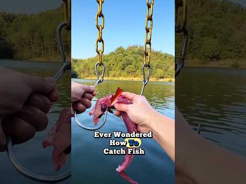 Genius Fish Trap in Action – Easy Catch! 🐟 #fishing #fishtrap #shorts