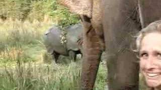 preview picture of video 'Rhinos Chitwan, Nepal 4'