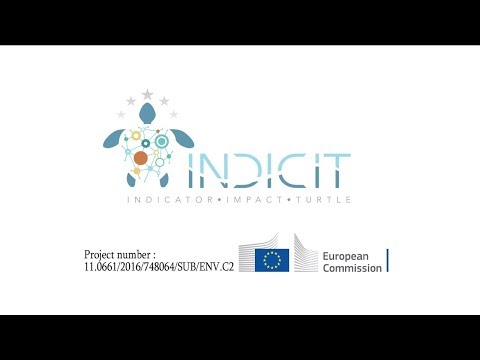 INDICIT Impacto de la basura del mar en las tortugas