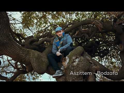 Aszittem - Bodzafa