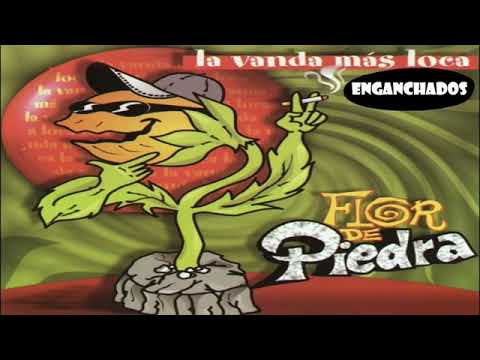 Flor de piedra: enganchados