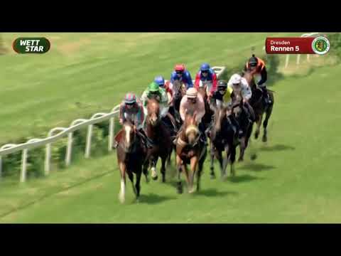 Galopprennbahn Dresden   10 07 2021   5. Rennen