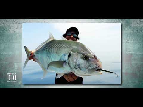 Vídeo Isca Duo Tide Minnow Slim 140 Flyer SK