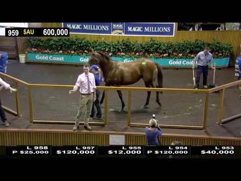 Lot 959 - Tremor (AUS) - 2017 National Broodmare Sale